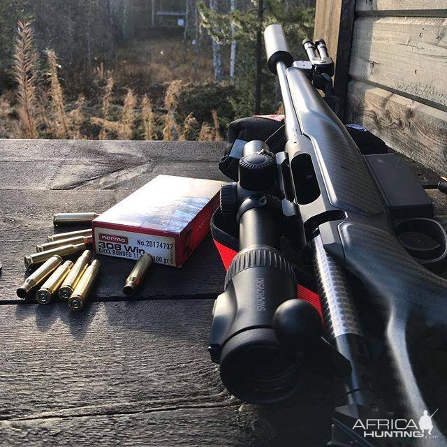 Rifle & Ammo