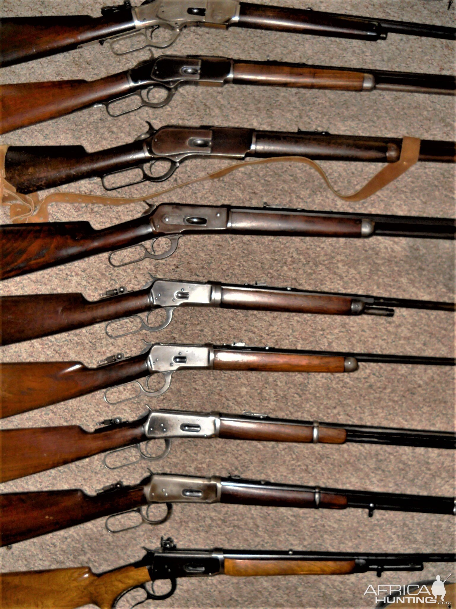 Rifle Collection