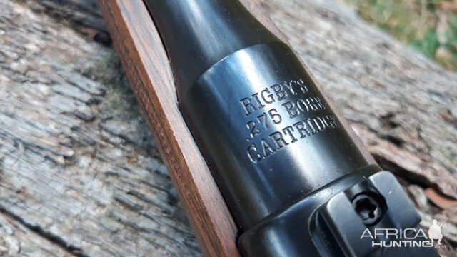 Rigby 275 Rifle