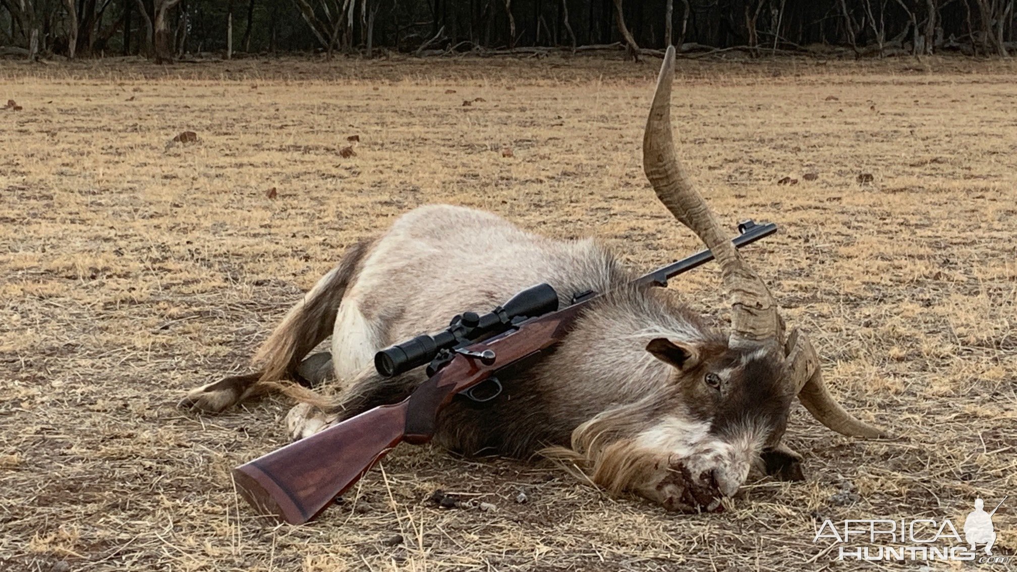 Rigby Highland Stalker Rifle