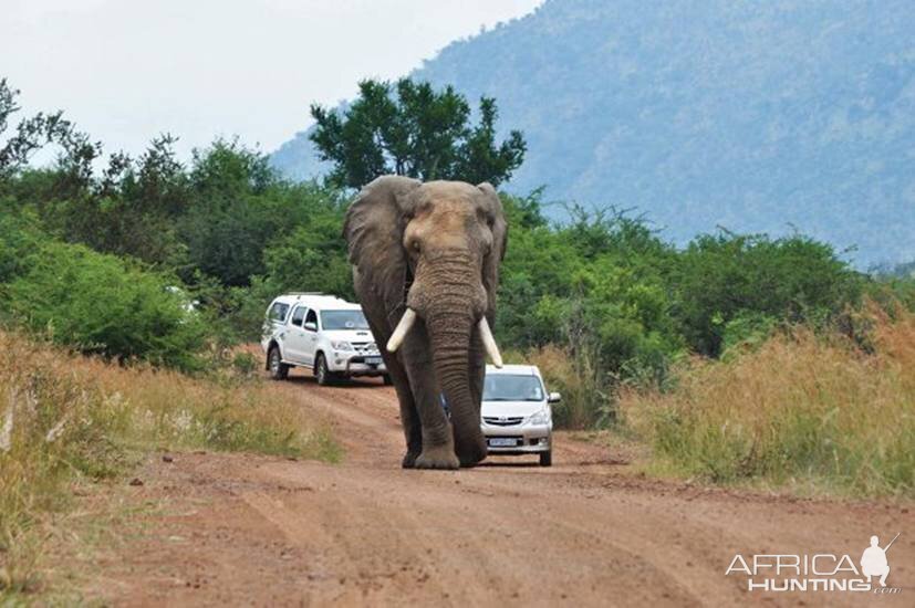 Road rage, it affects us all!