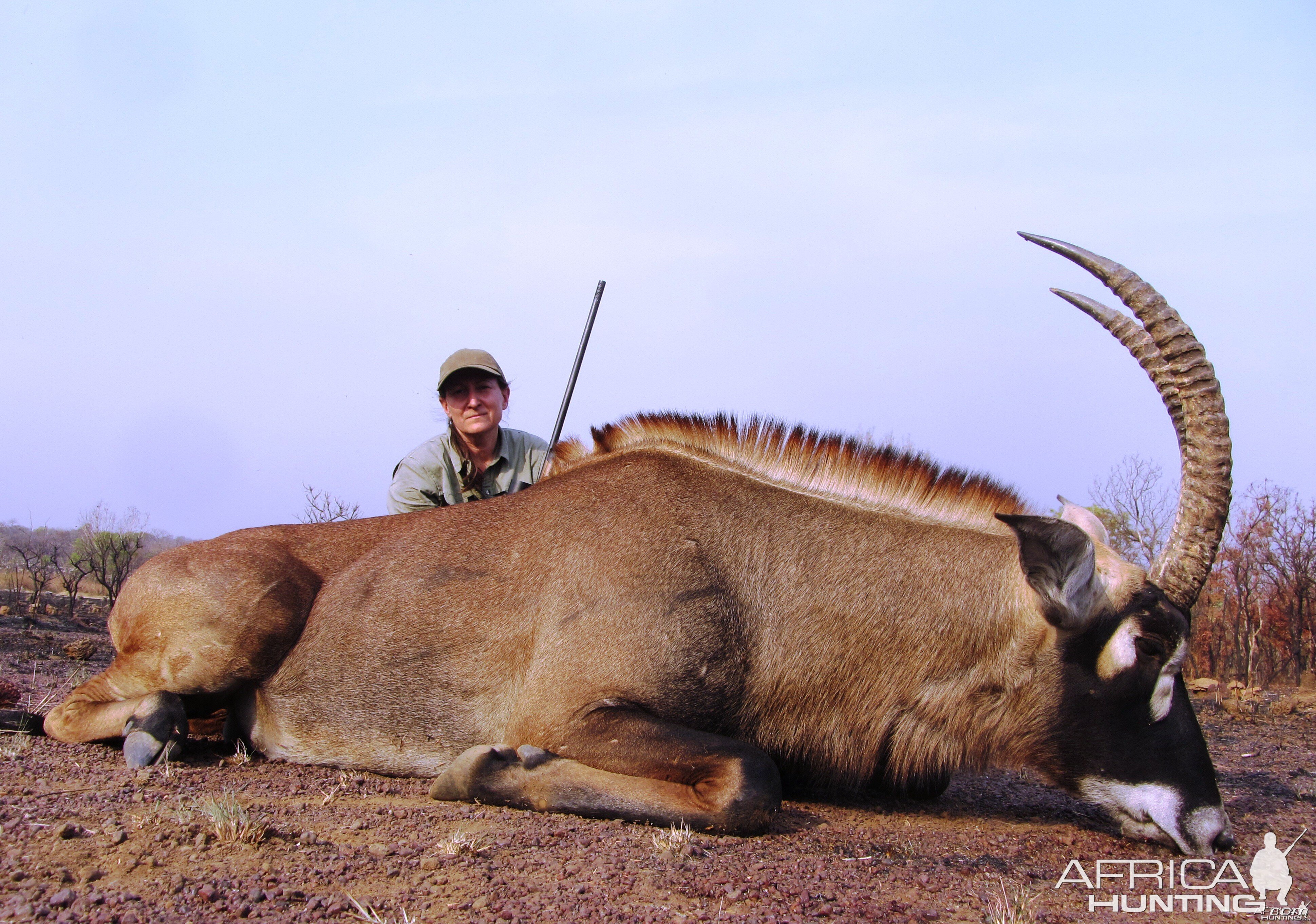 Roan Antelope hunted in CAR