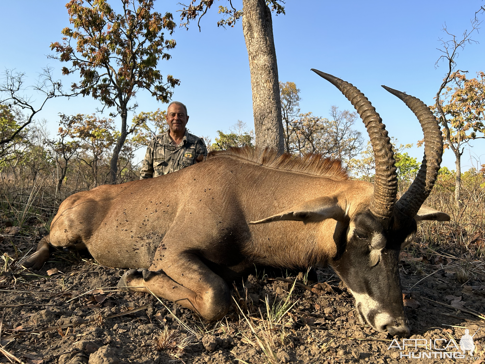 Roan Hunt Cameroon