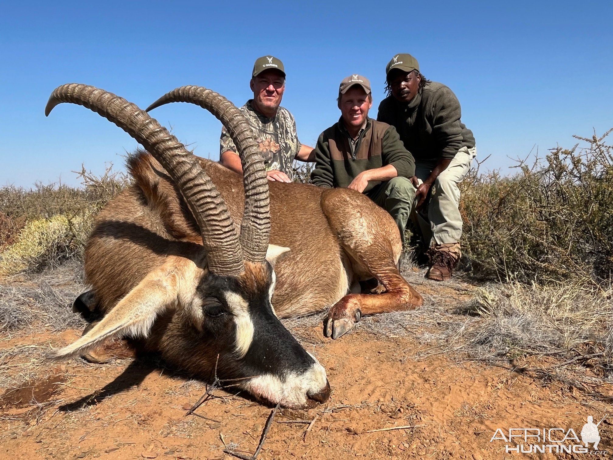 Roan Hunt Eastern Cape South Africa