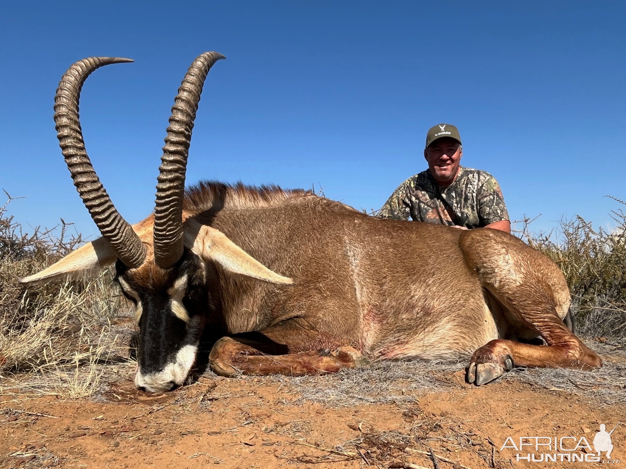 Roan Hunt Eastern Cape South Africa