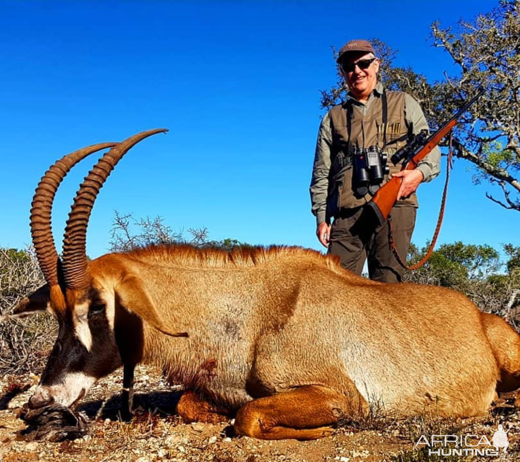 Roan Hunting Eastern Cape South Africa