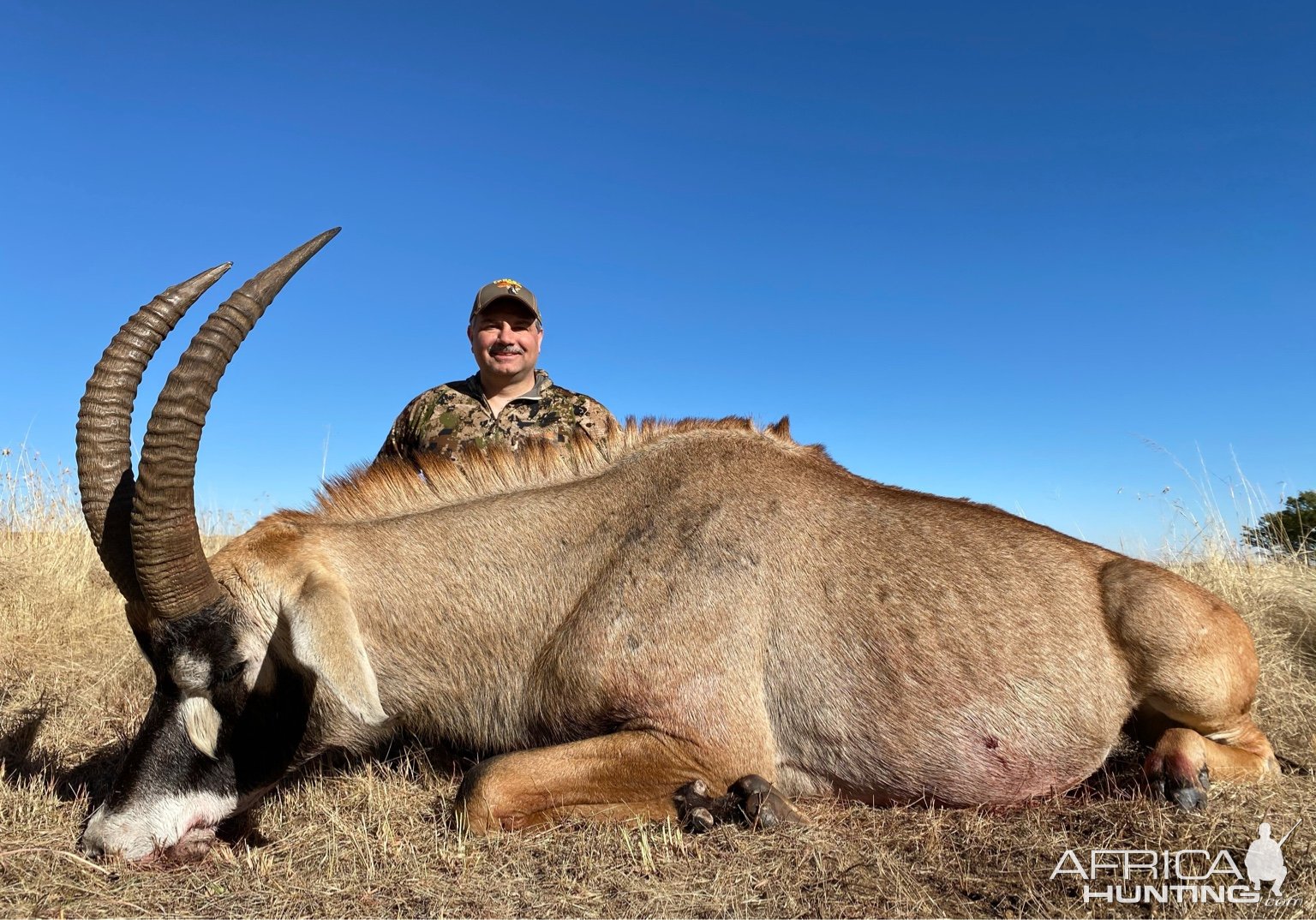 Roan Hunting South Africa