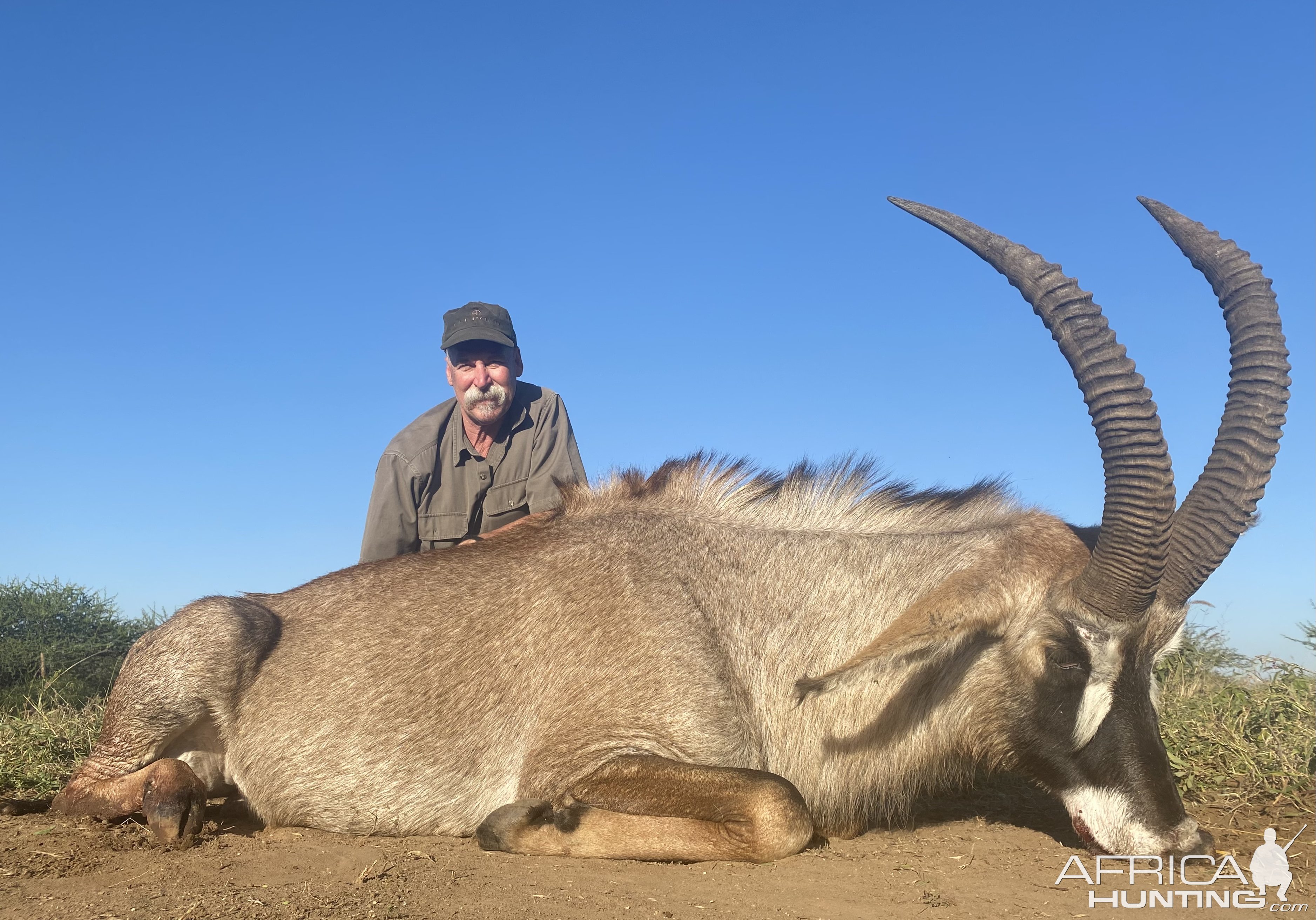 Roan Hunting South Africa