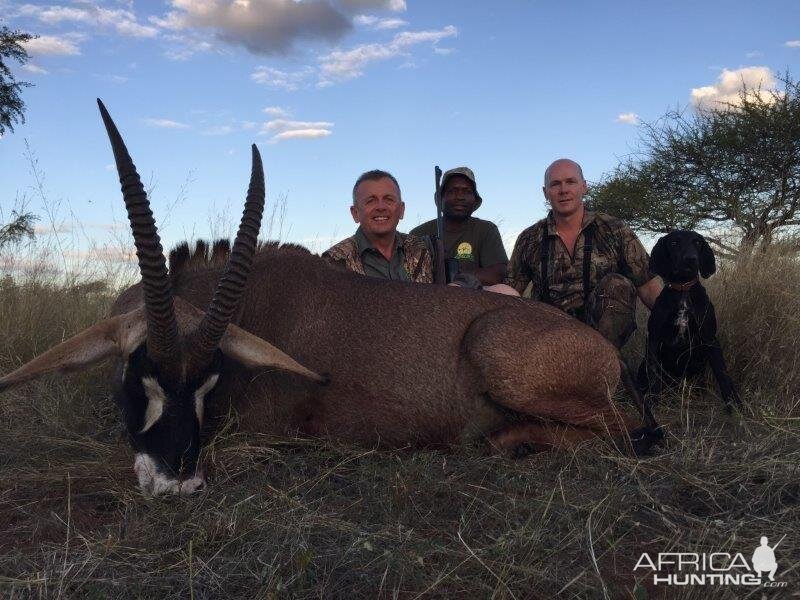 Roan Hunting South Africa