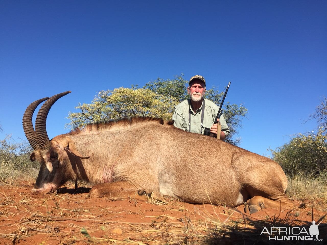 Roan Hunting South Africa