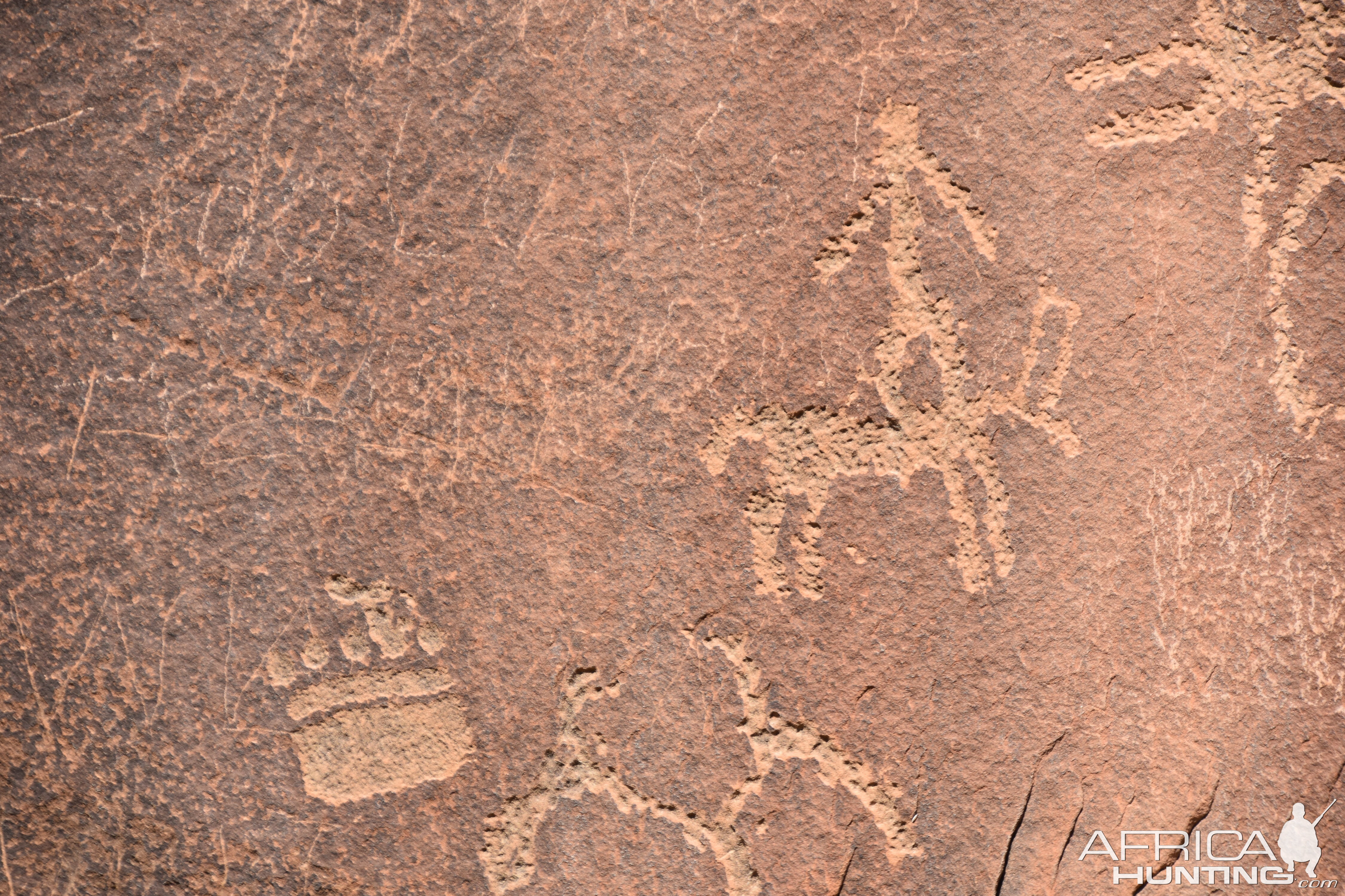 Rock Art Ponderosa forest Utah USA