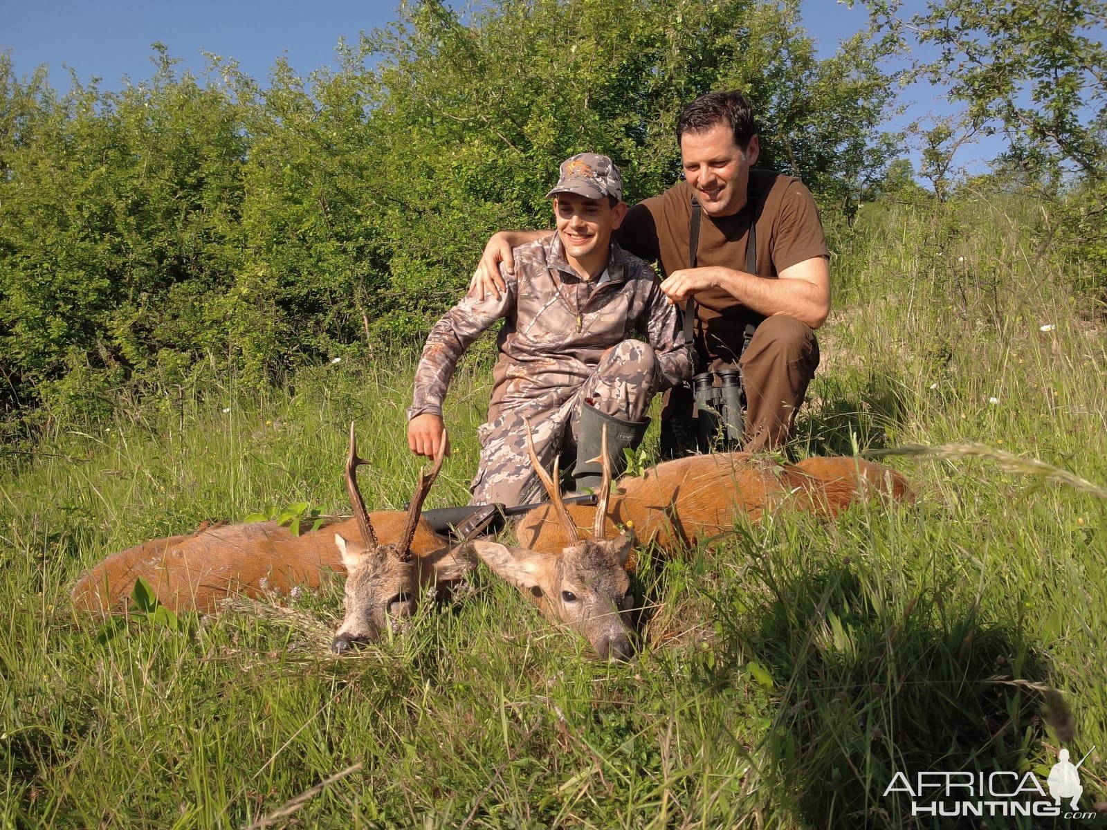 Roe Deer Hunt Romania