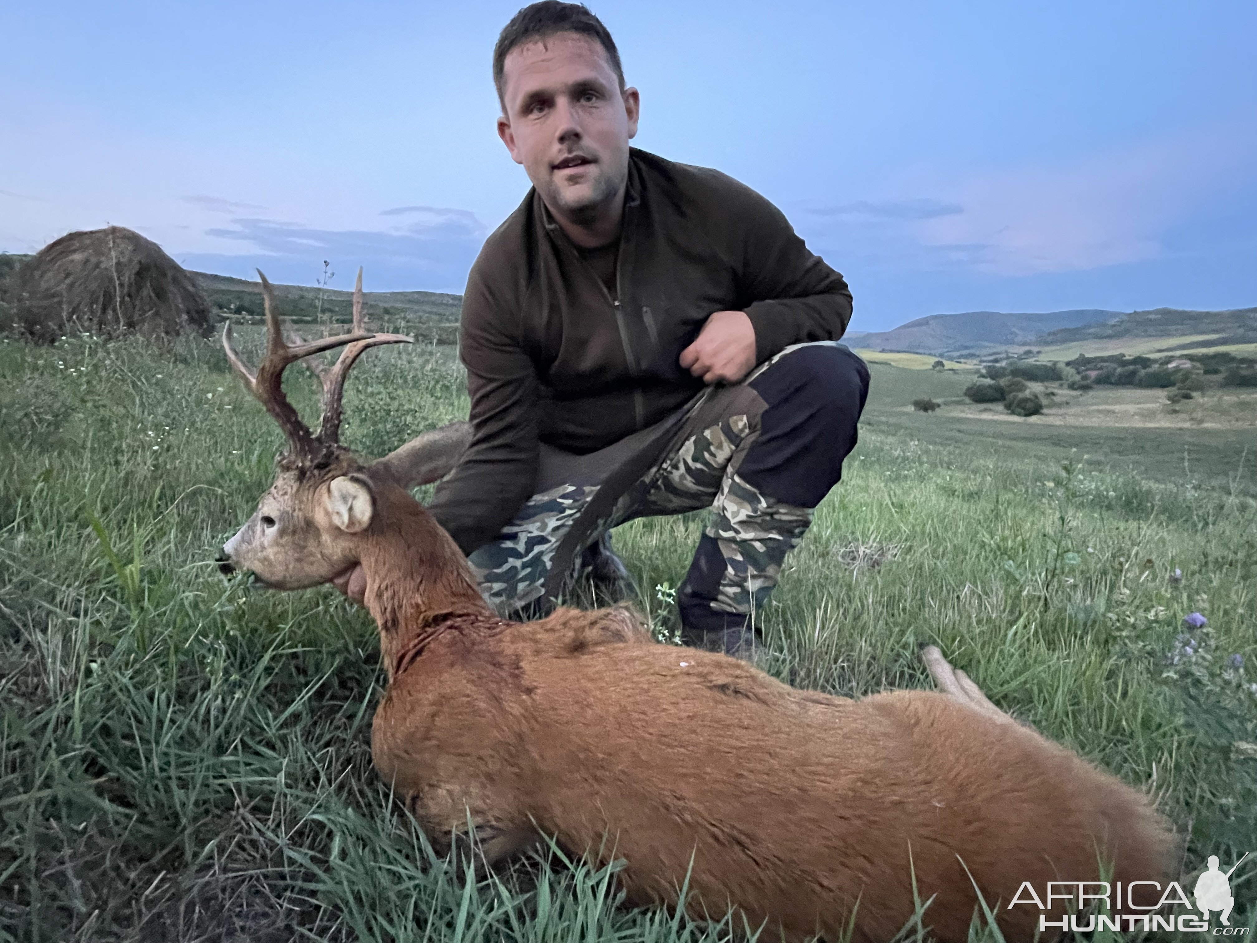 Roe Deer Hunt Romania