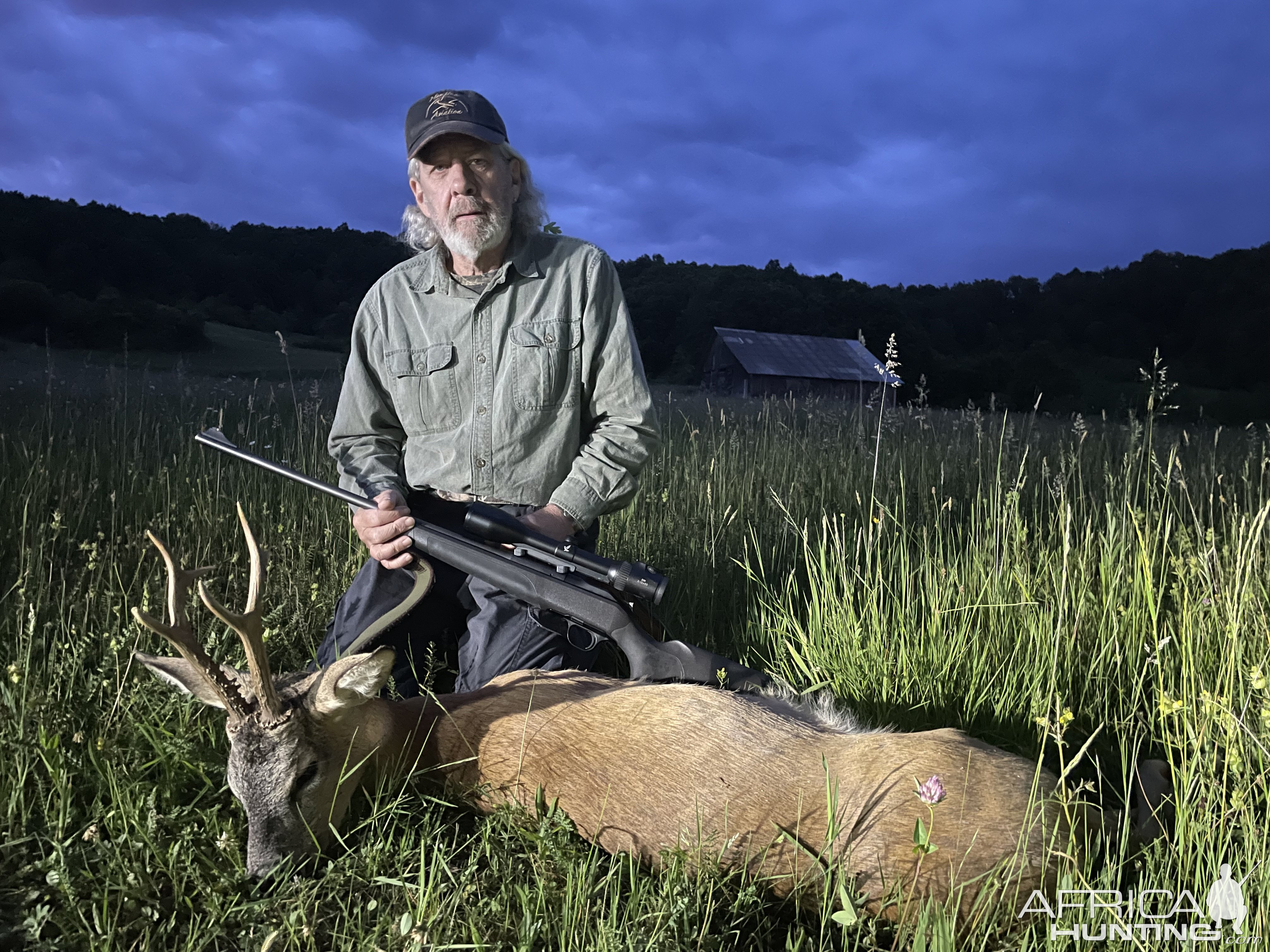 Roe Deer Hunt Romania