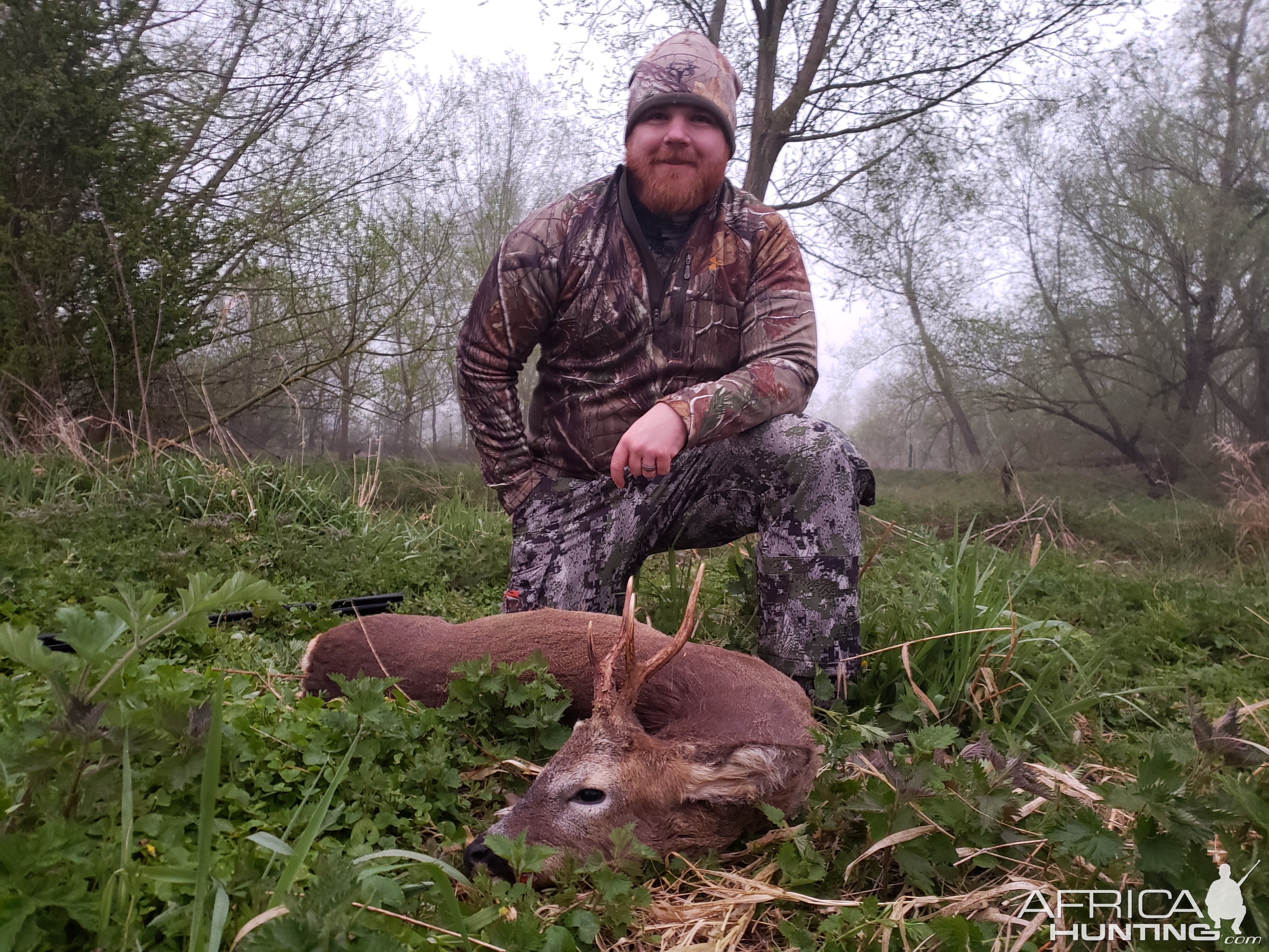 Roe Deer Hunting England