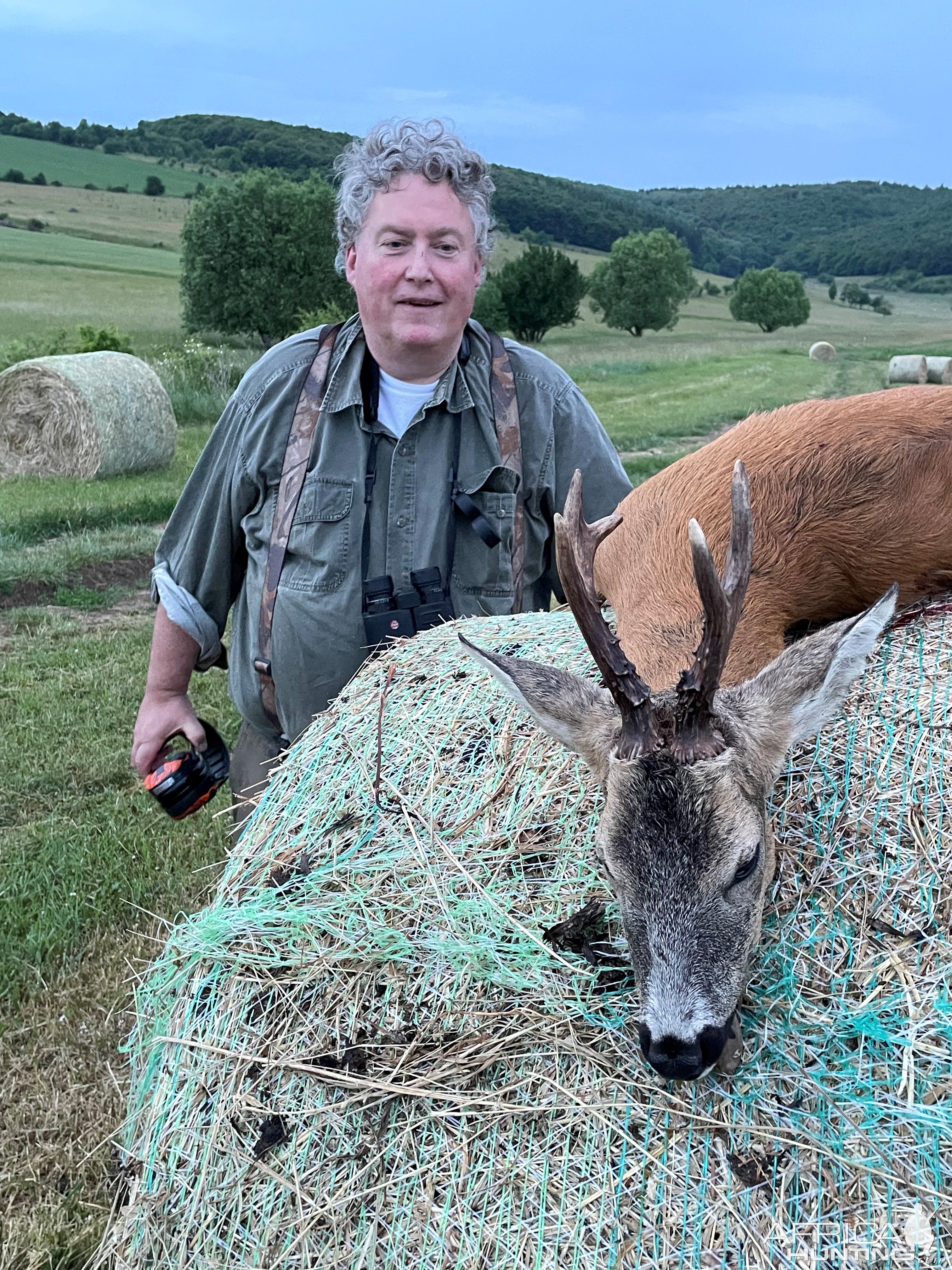 Roe Deer Hunting Romania