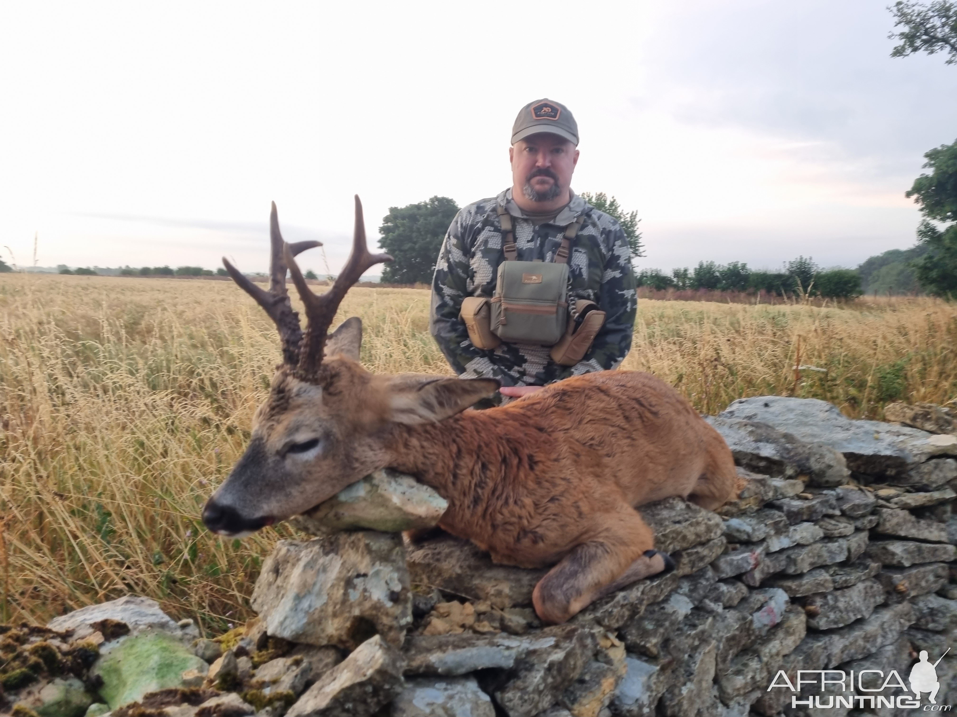 Roe Deer Hunting