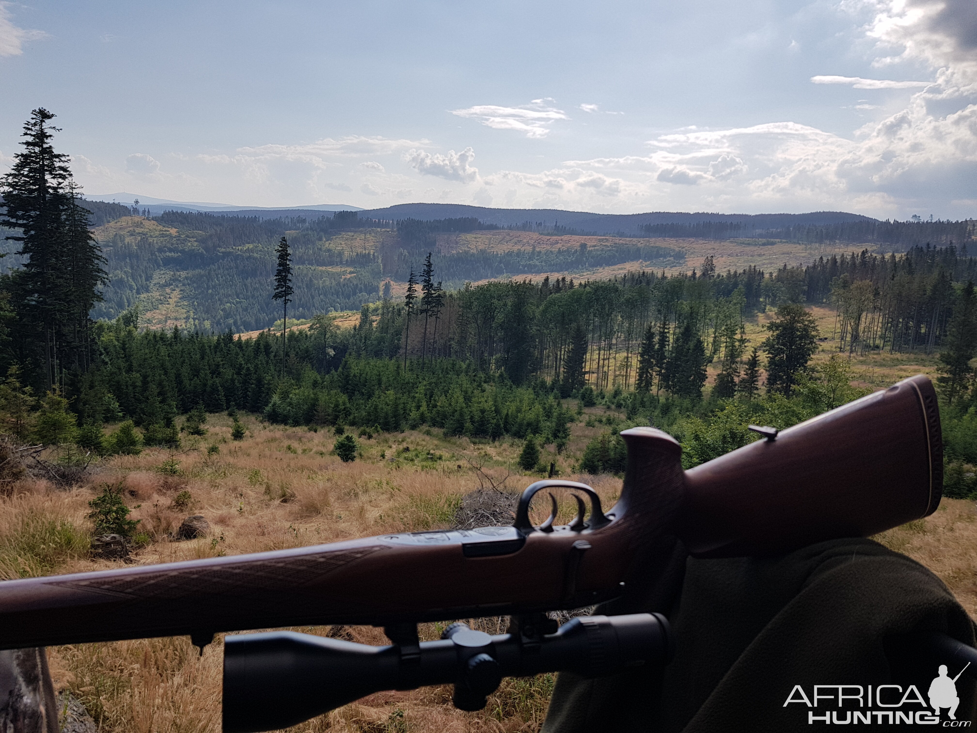 Roe Deer Hunting