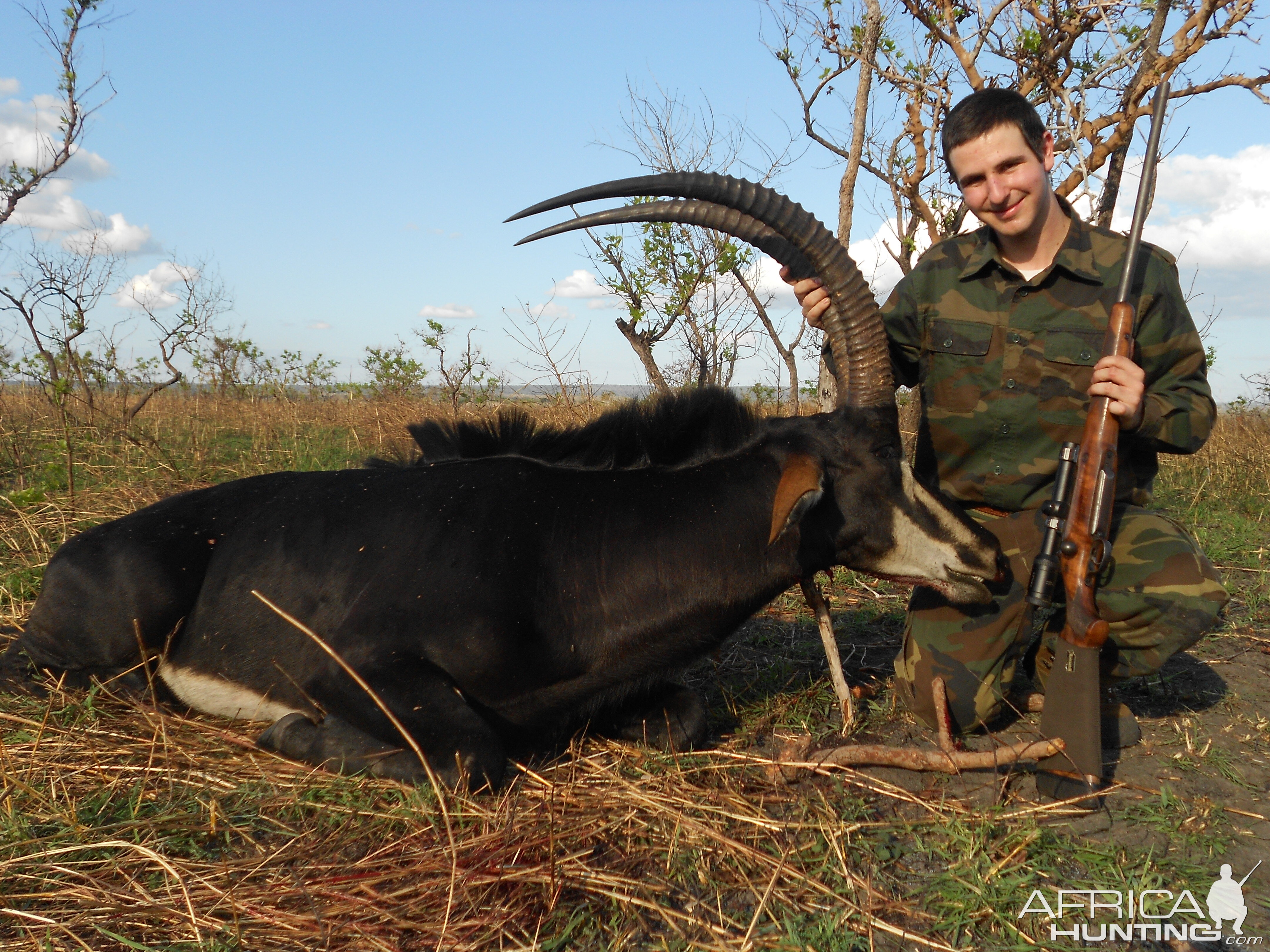 Roosevelt's Sable from Kilwa Tanzania