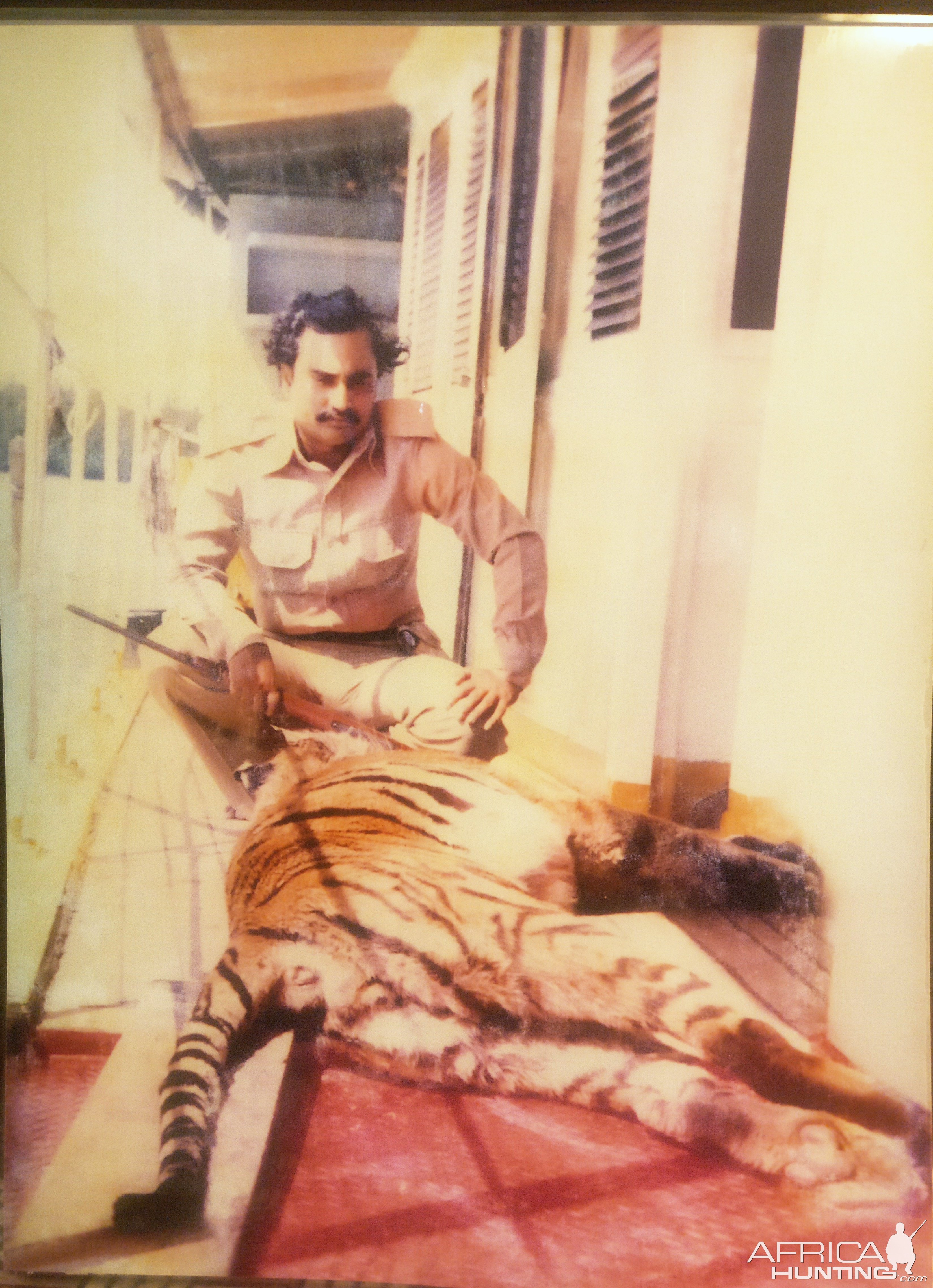 Royal Bengal Tiger Hunt