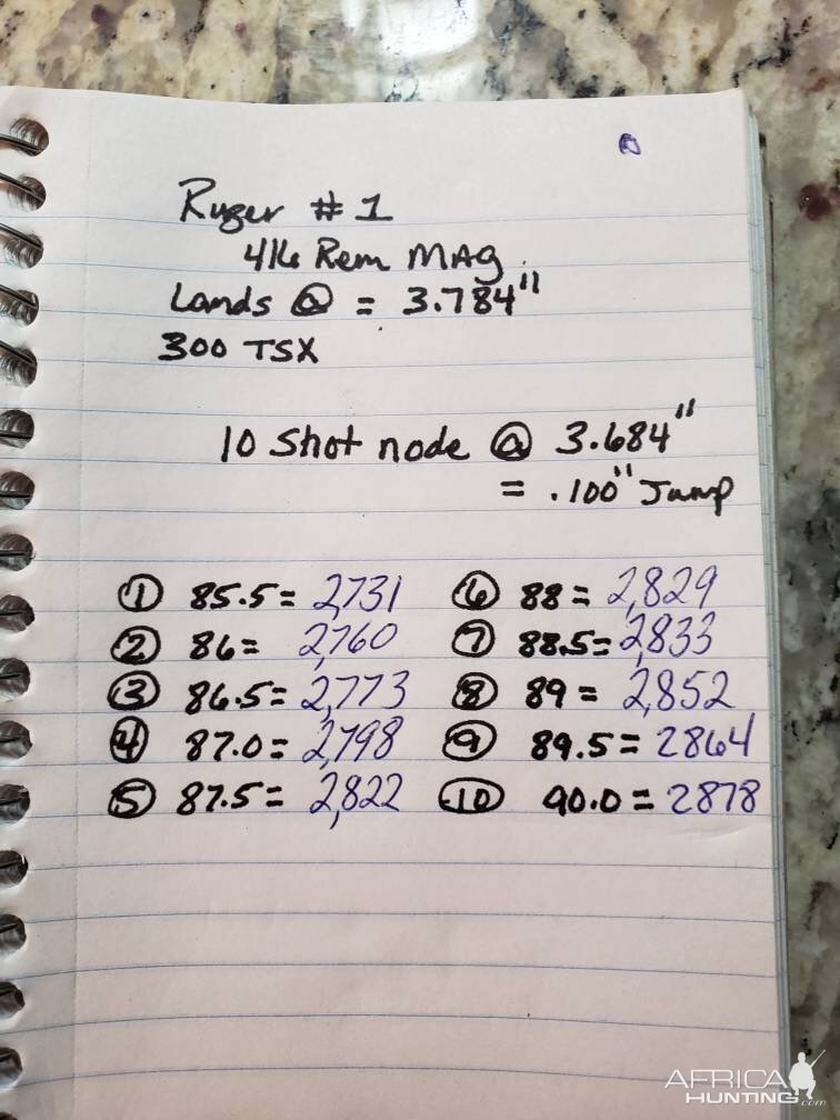 Ruger #1 416 Rem Mag Load Performance