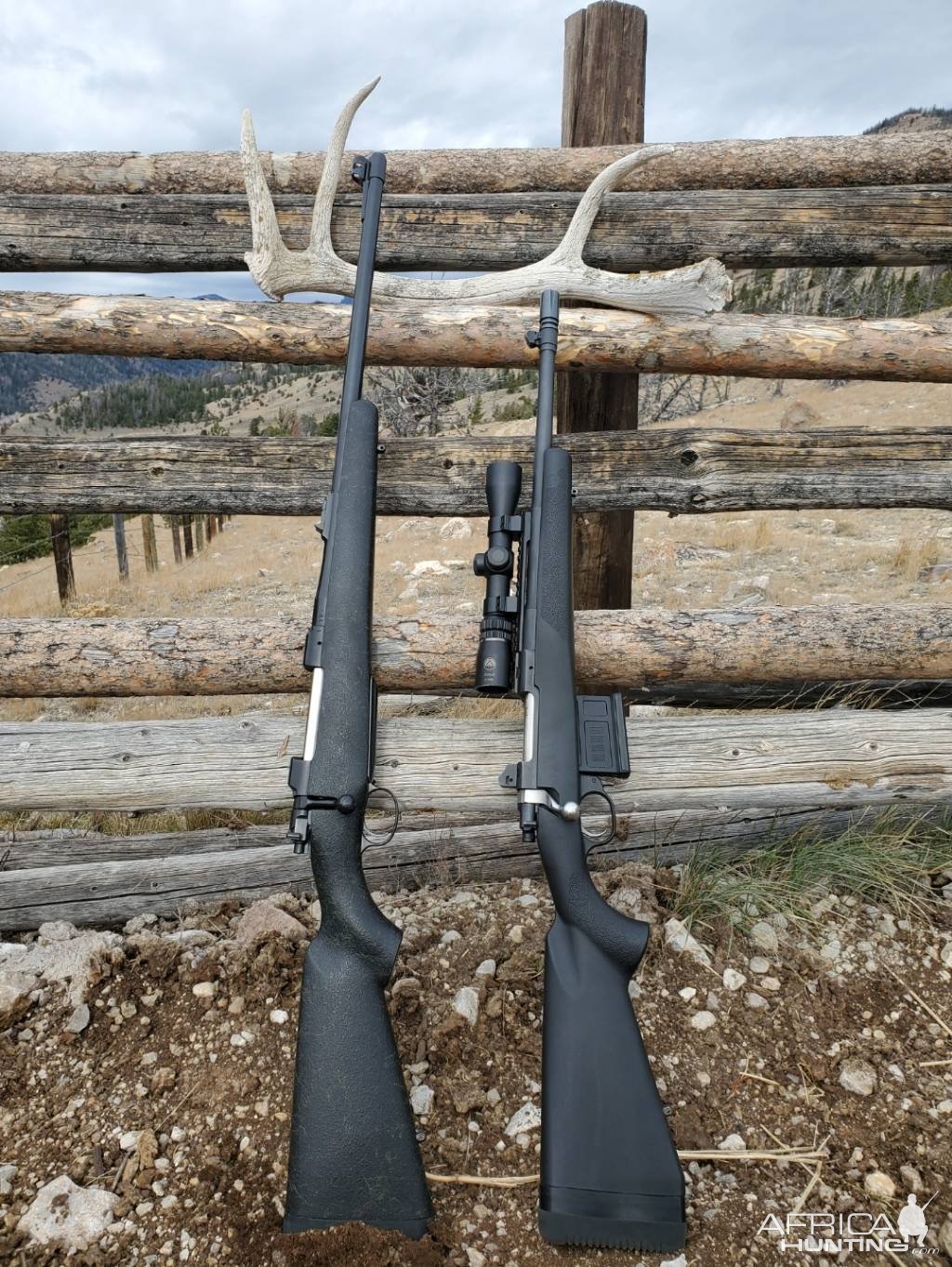 Ruger Scout 308 & AHR 458 Lott Rifle