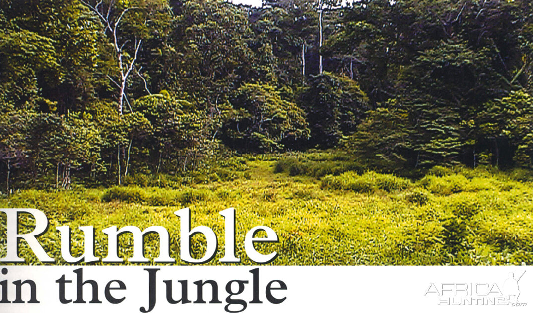 Rumble in the Jungle by Chris Storm