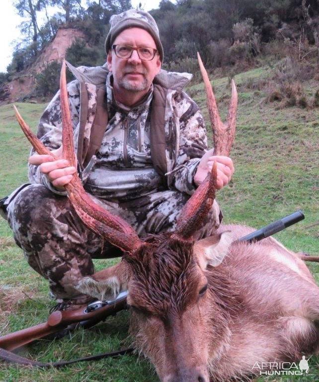 Rusa Deer Hunting New Zealand