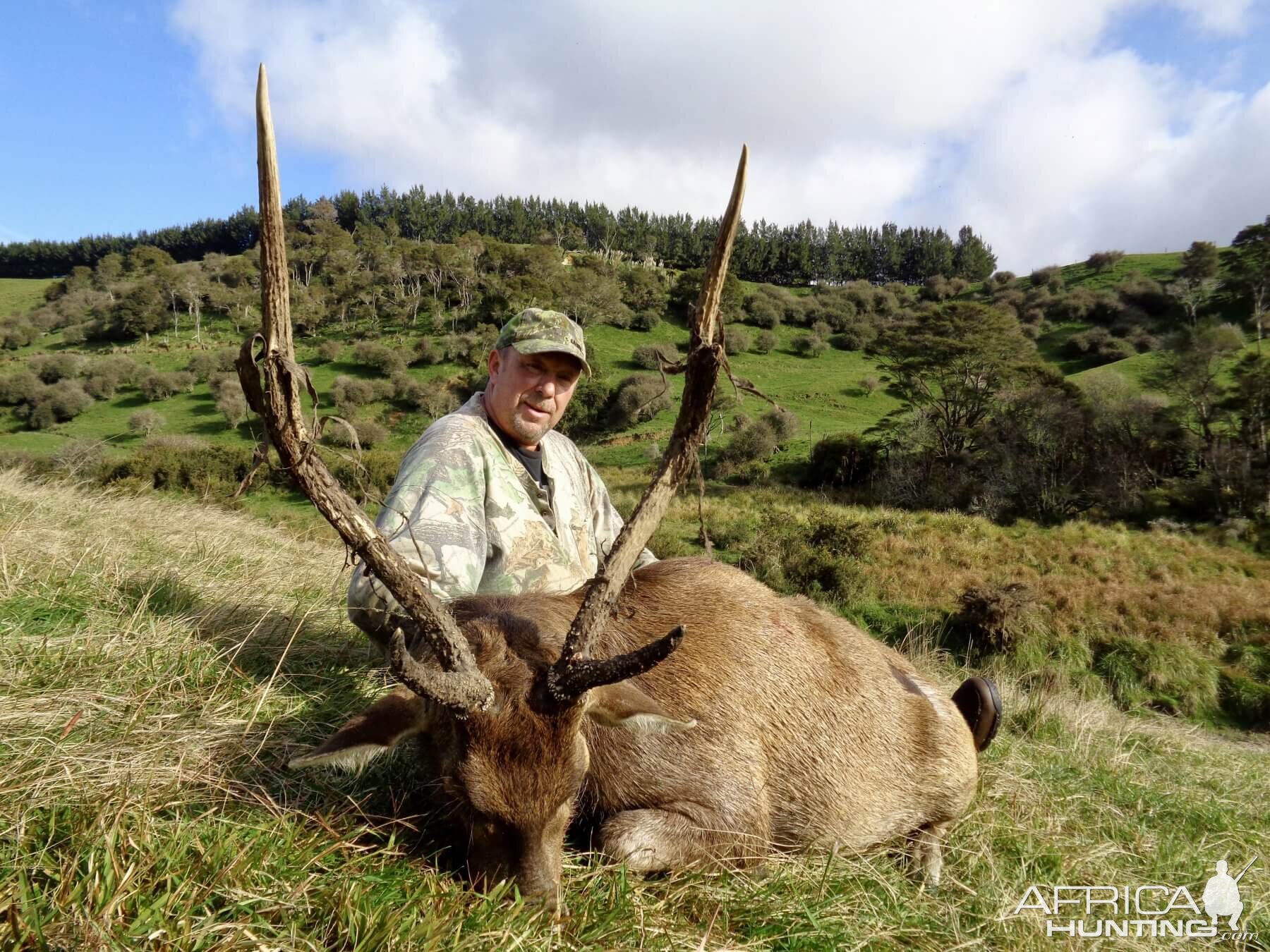 Rusa Deer Hunting New Zealand