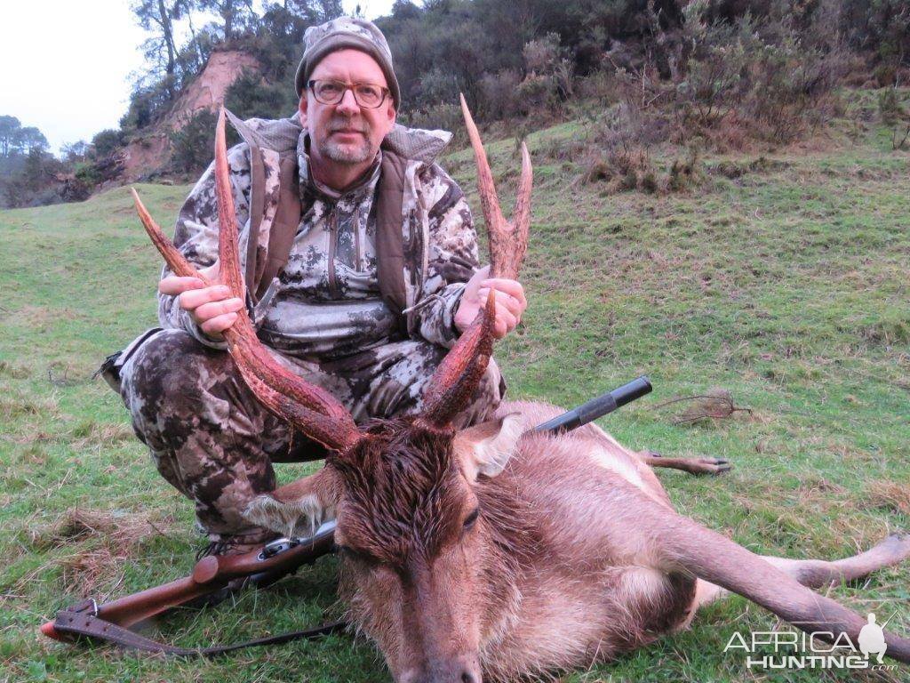 Rusa Hunting New Zealand