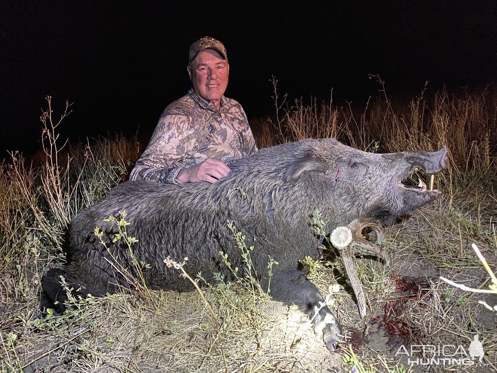 Russian Boar Hunt Argentina