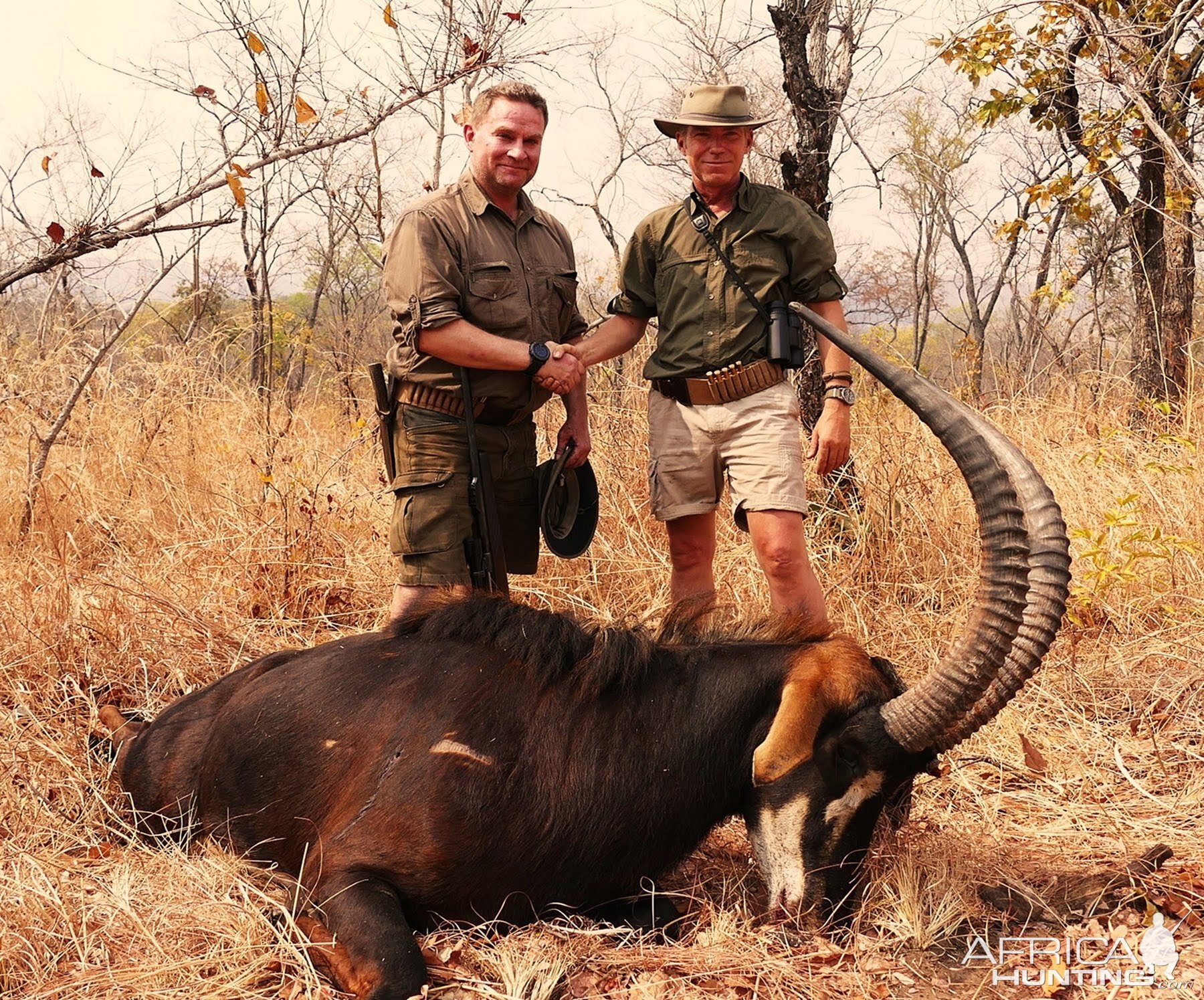 Sable Antelope Hunt in Zambia