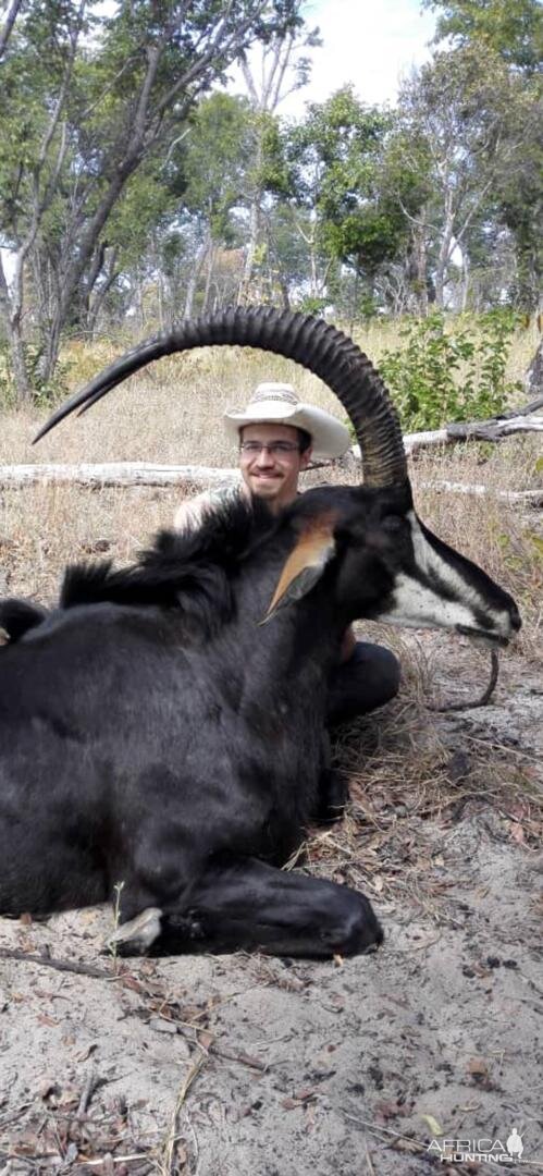 Sable Antelope Hunt in Zimbabwe