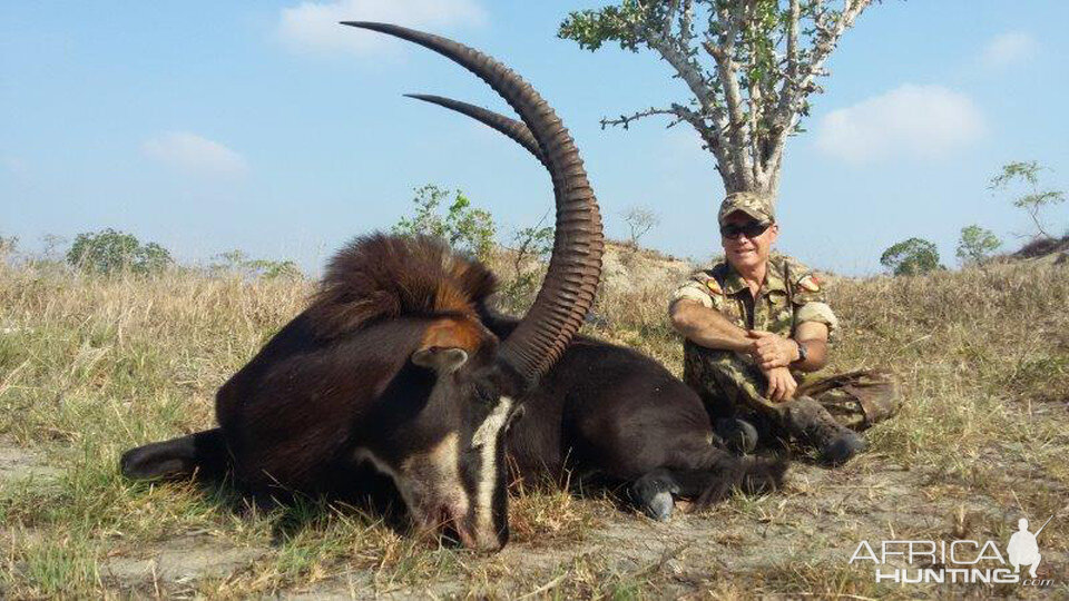 Sable Antelope Hunt Mozambique