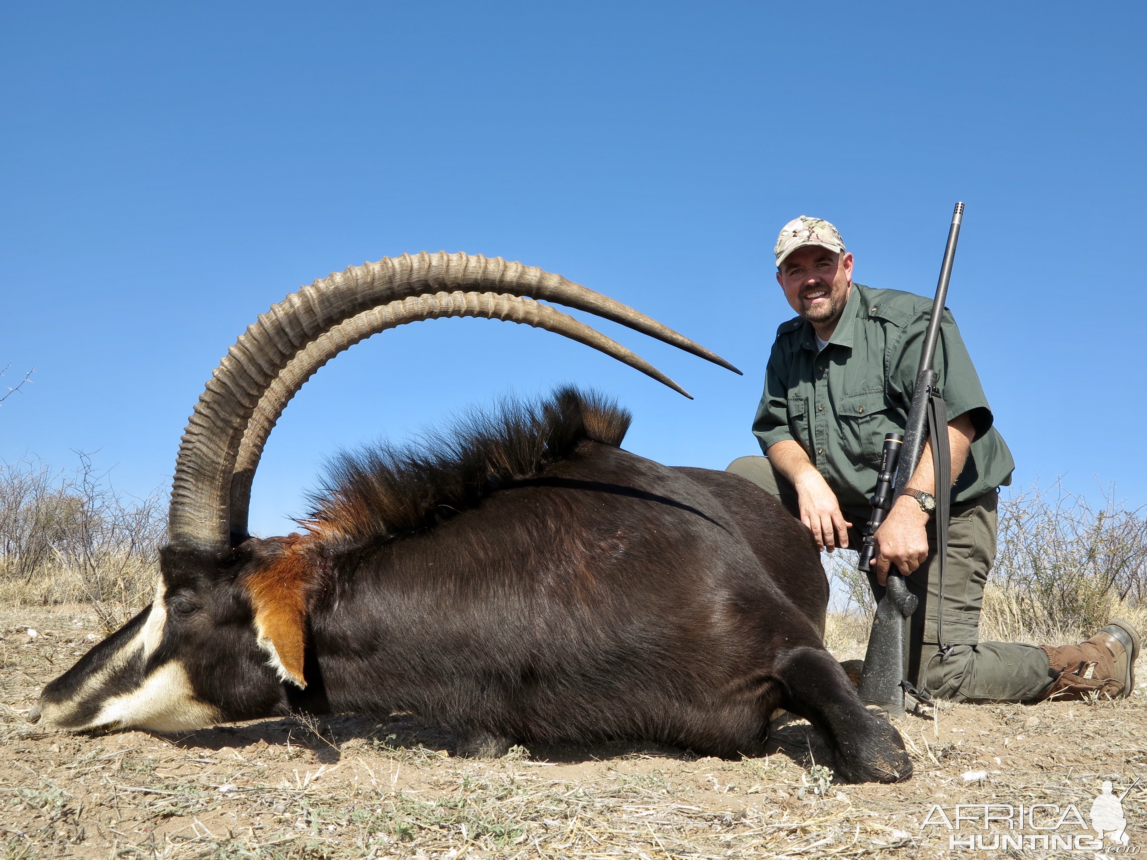 Sable Antelope Hunt Namibia