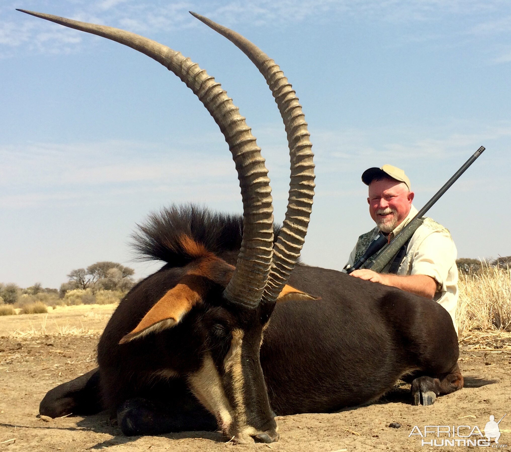 Sable Antelope Hunt South Africa