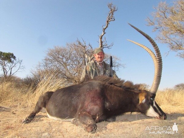 Sable Antelope Hunt South Africa