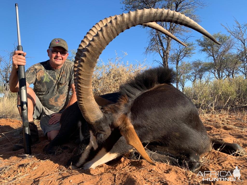 Sable Antelope Hunting Namibia