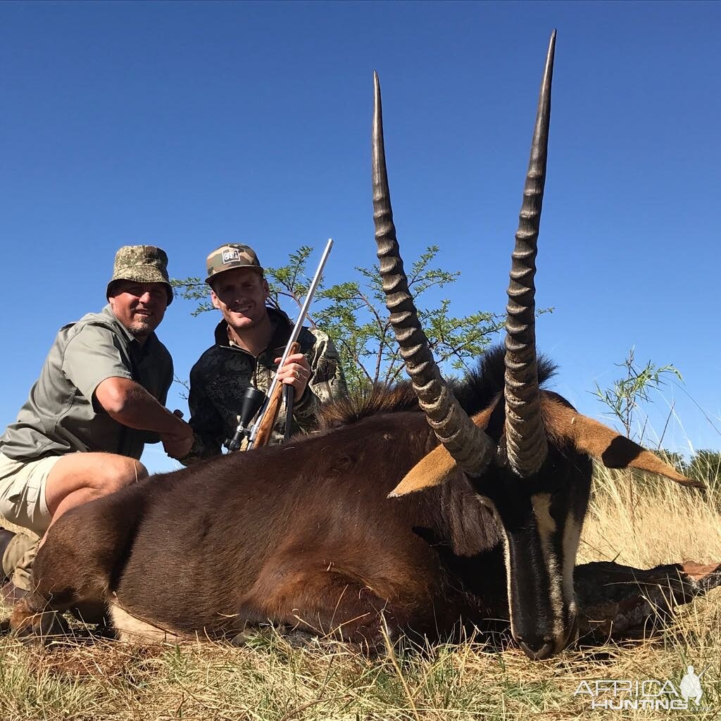 Sable Antelope Hunting South Africa