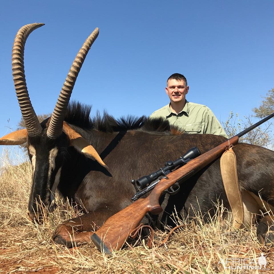 Sable Antelope Hunting South Africa