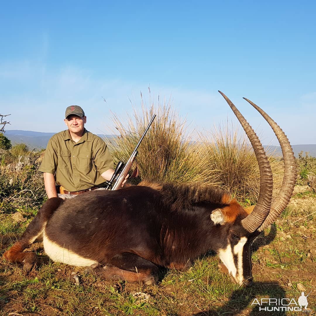 Sable Antelope Hunting South Africa