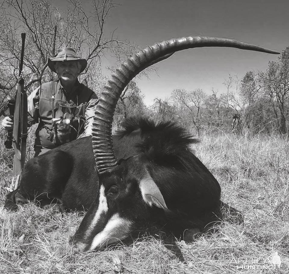 Sable Antelope Hunting South Africa