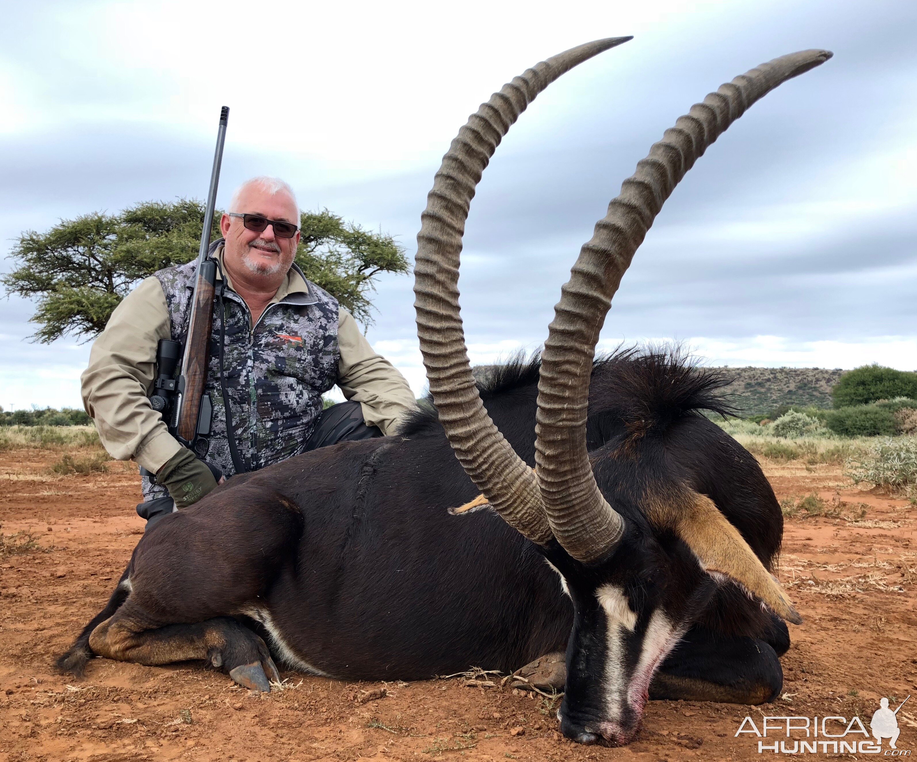 Sable Antelope Hunting South Africa