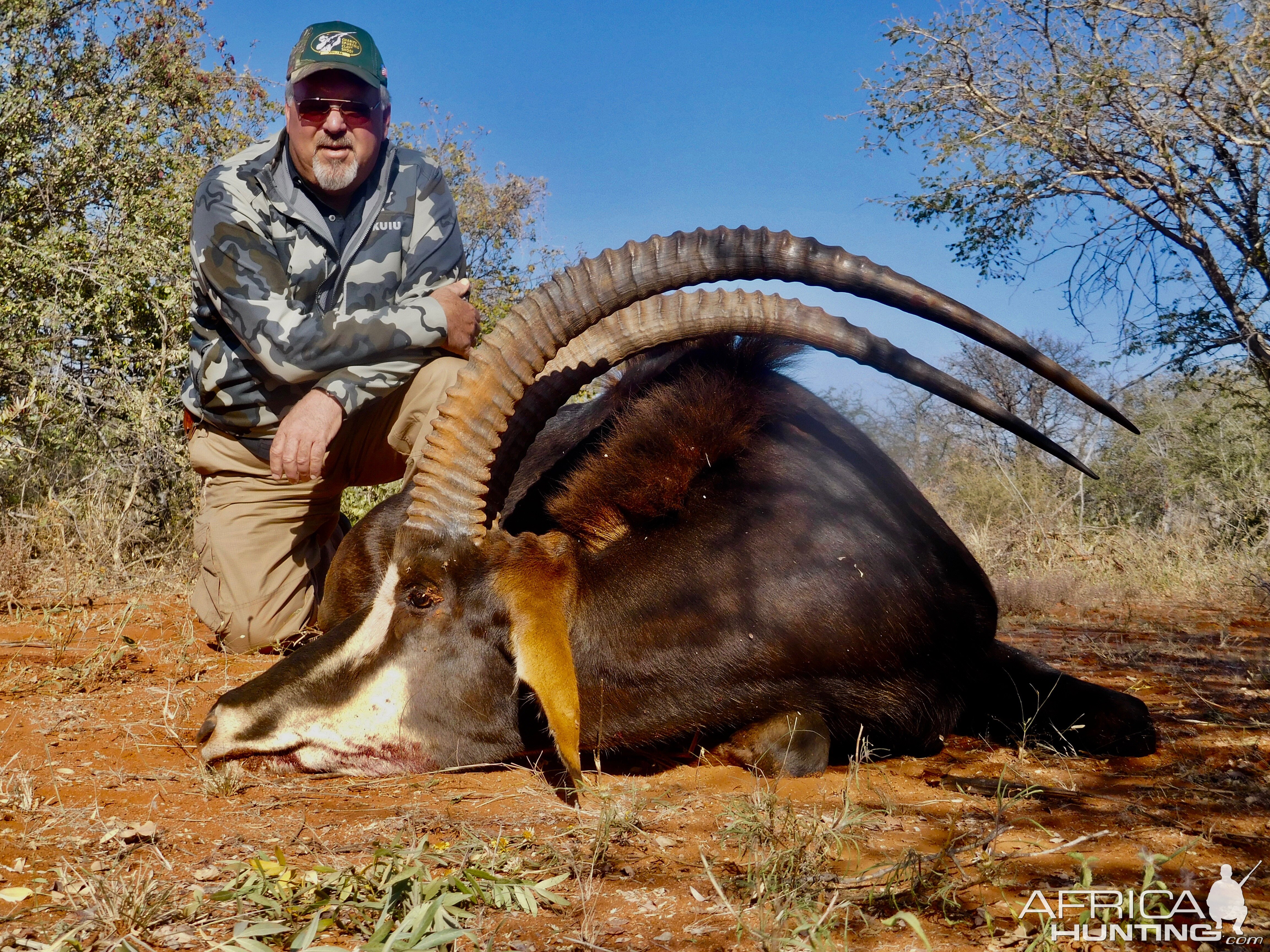 Sable Antelope Hunting South Africa