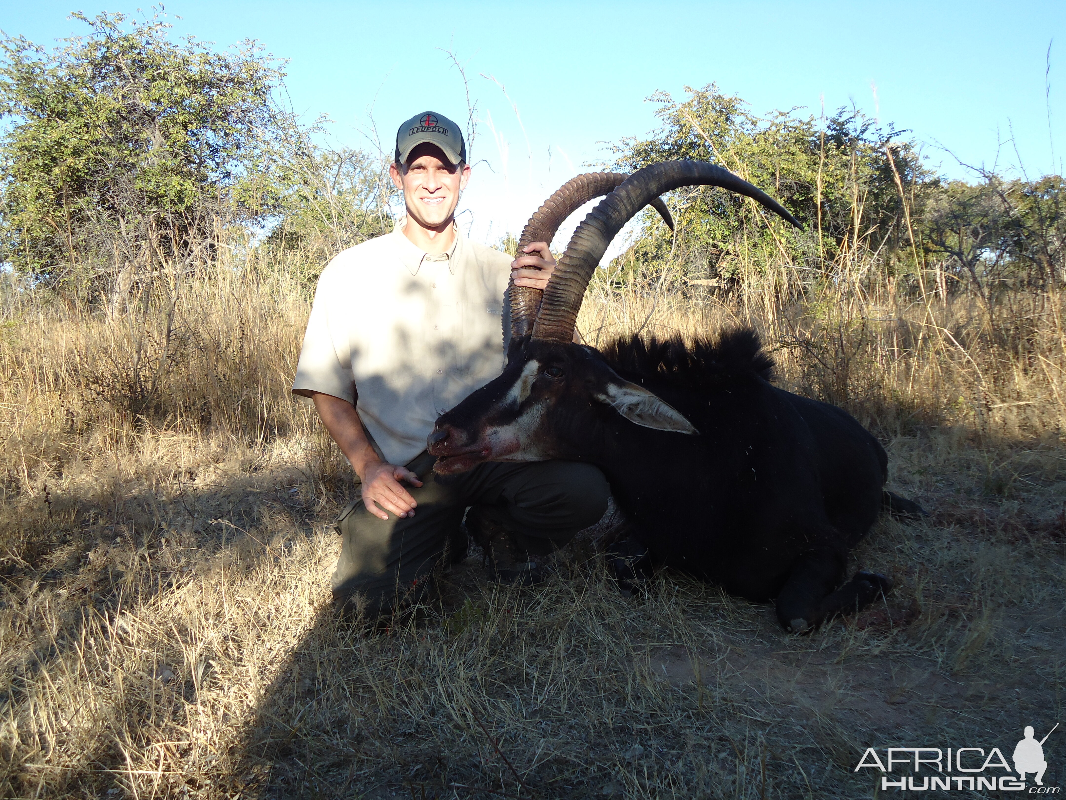 Sable Antelope Hunting Zambia