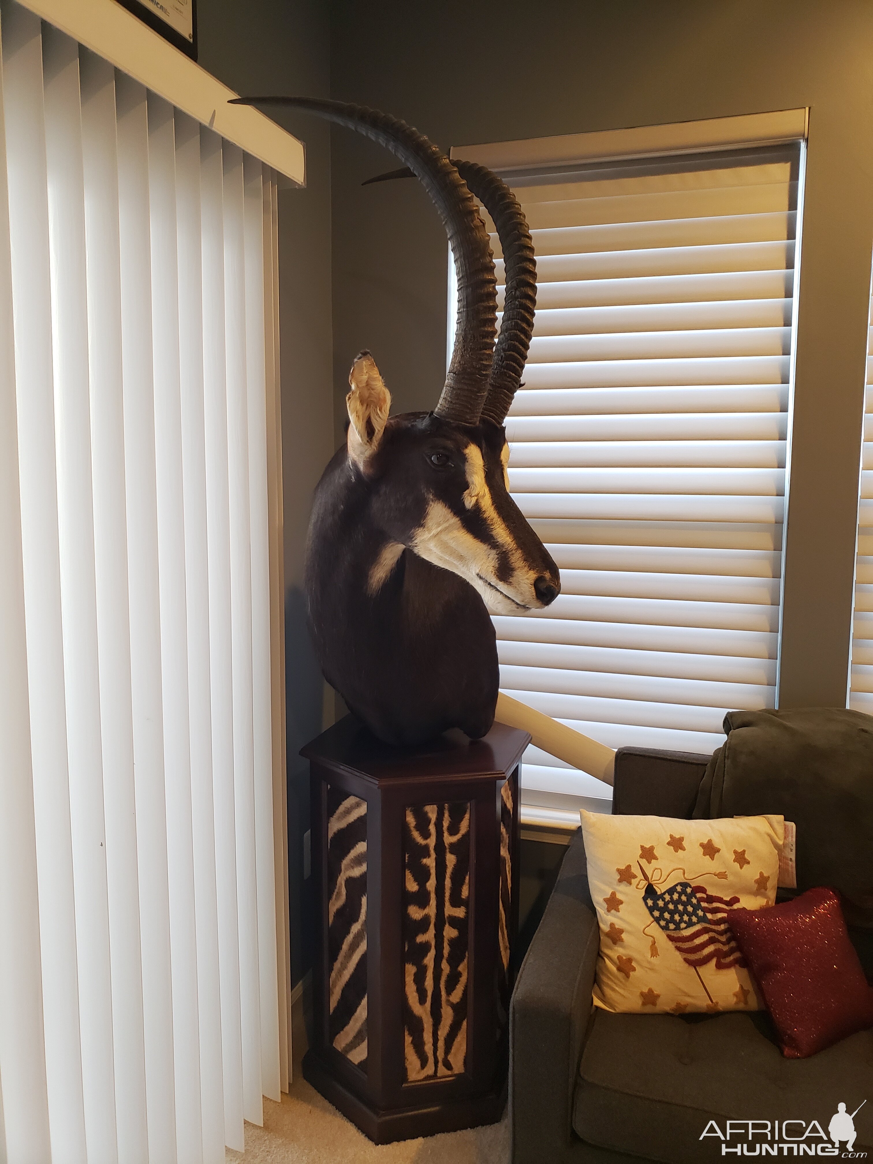 Sable Antelope Pedestal Mount Taxidermy