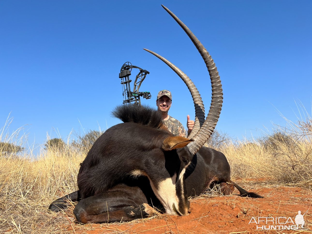 Sable Bow Hunt South Africa