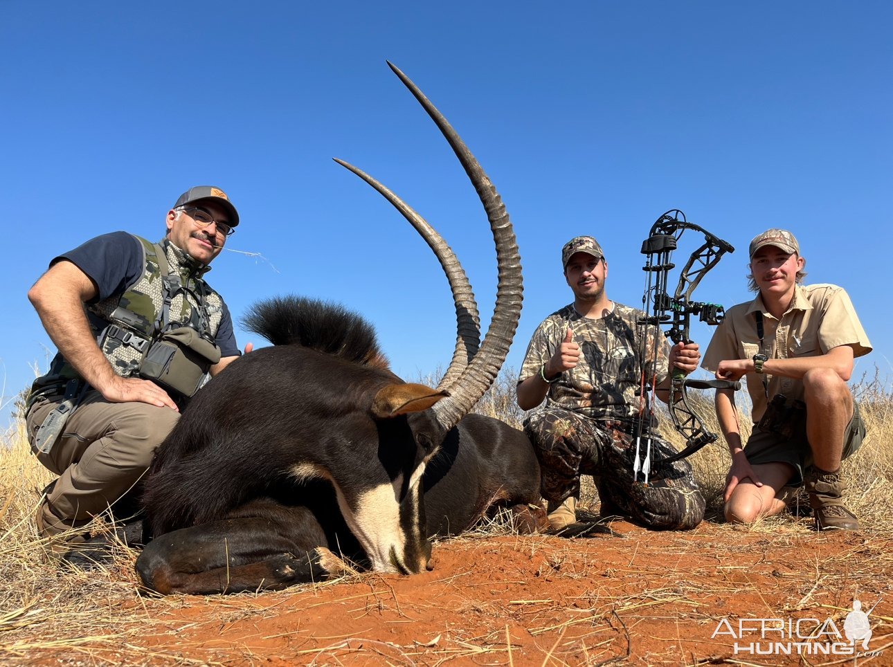 Sable Bow Hunt South Africa