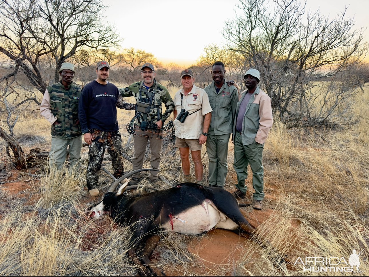 Sable Bow Hunt South Africa