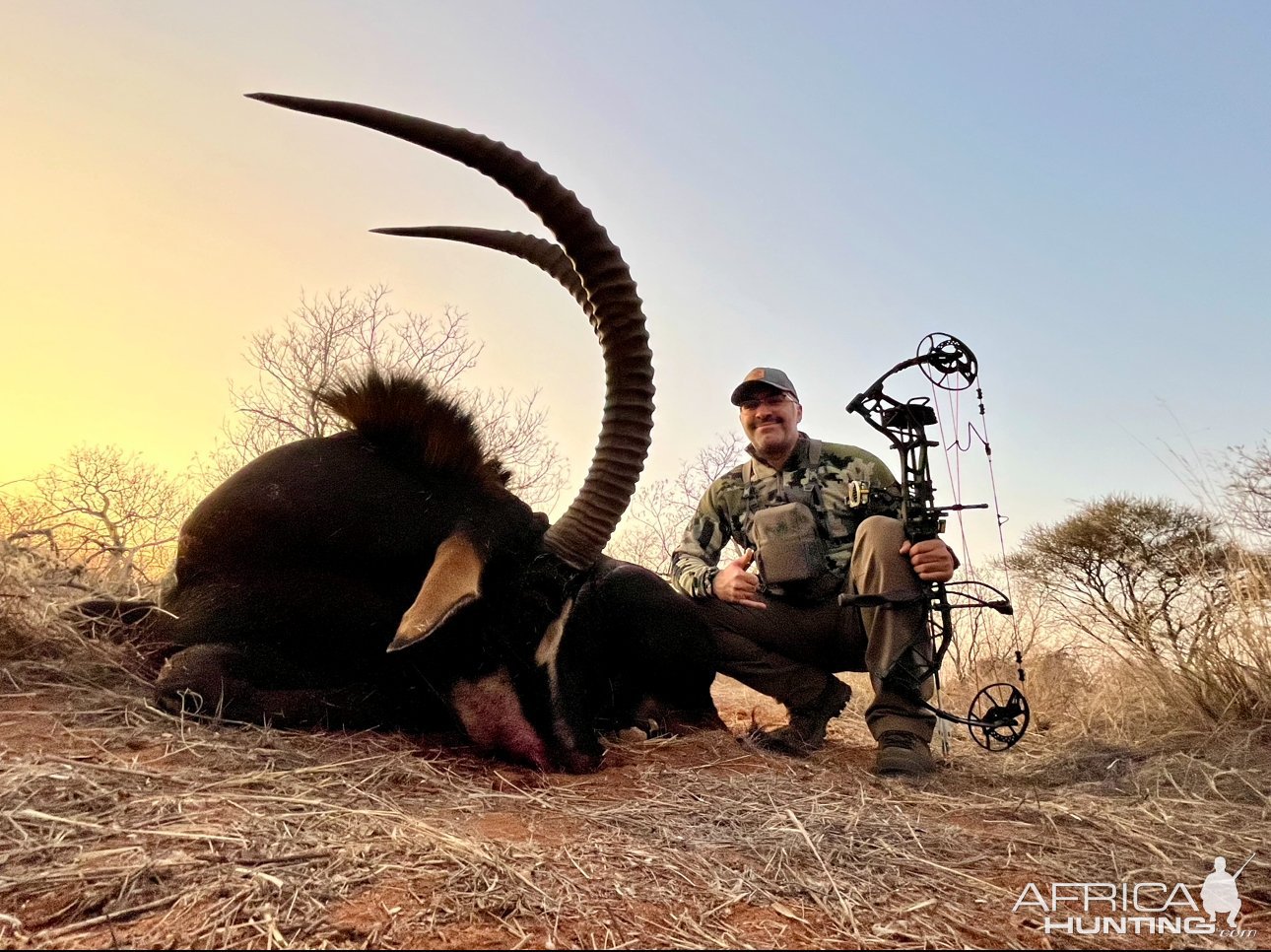 Sable Bow Hunt South Africa